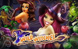 Игровой автомат Дикие Ведьмы, Wild Witches